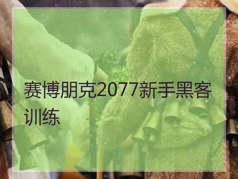 赛博朋克2077新手黑客训练