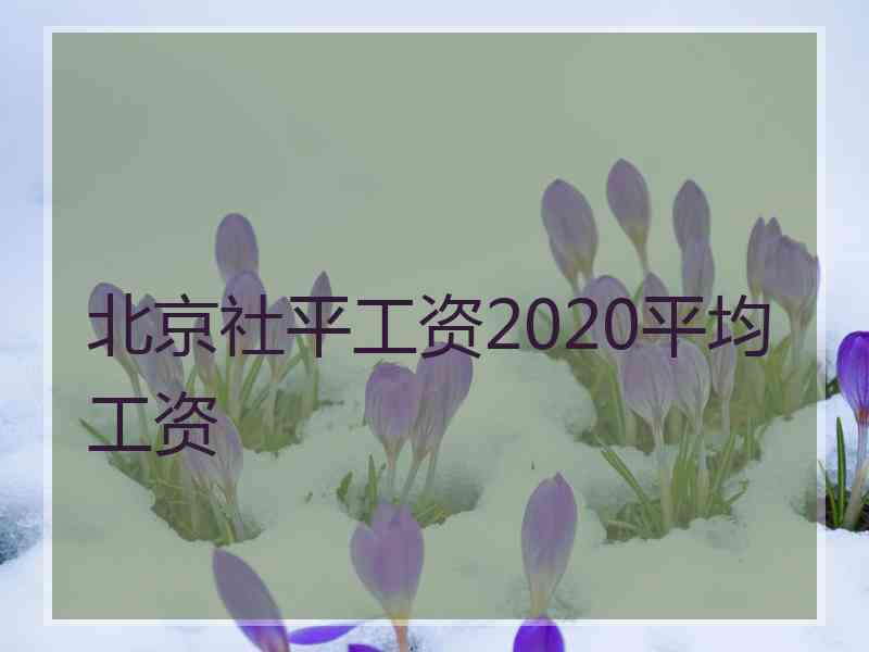 北京社平工资2020平均工资