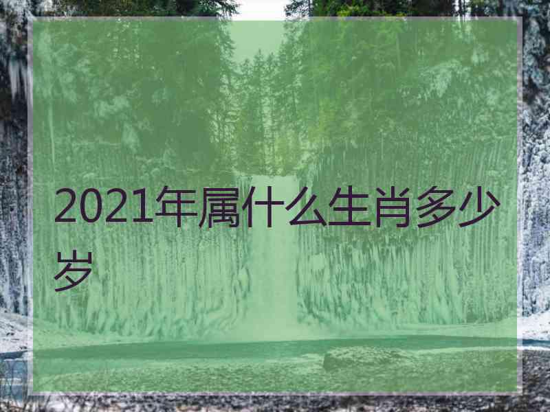 2021年属什么生肖多少岁