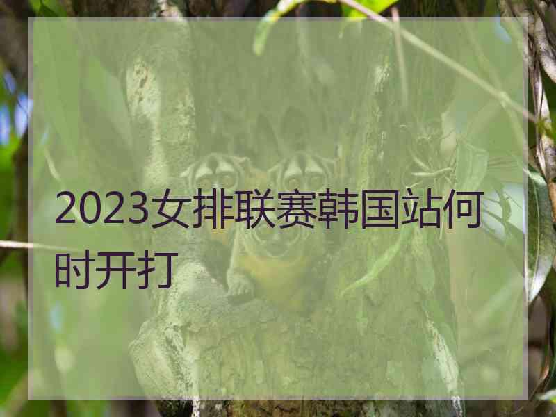 2023女排联赛韩国站何时开打