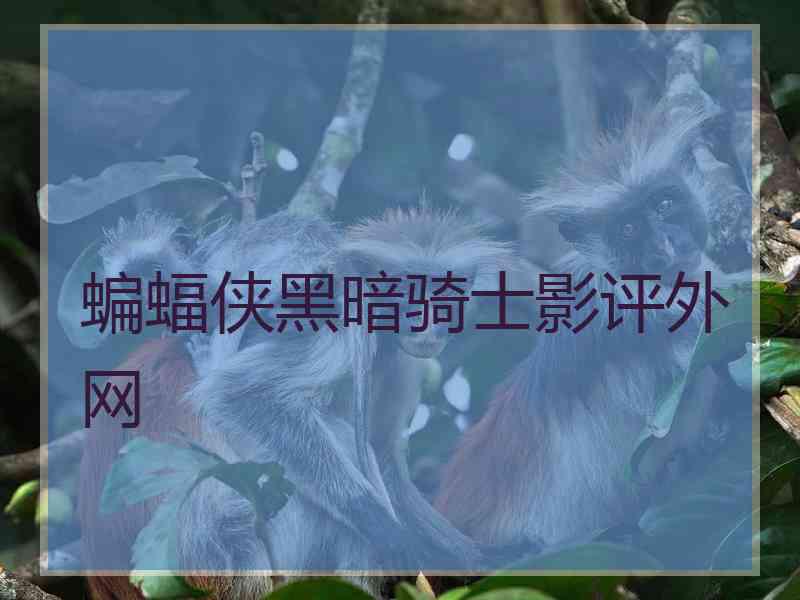 蝙蝠侠黑暗骑士影评外网