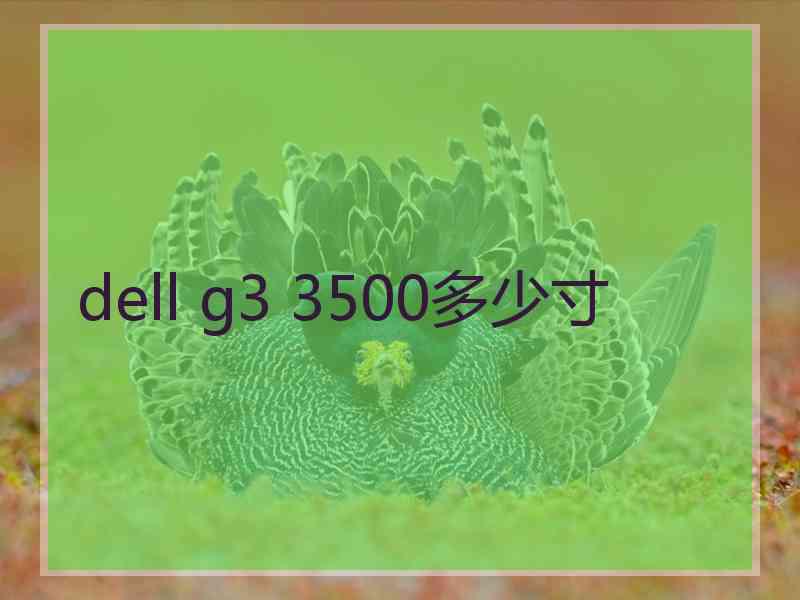 dell g3 3500多少寸