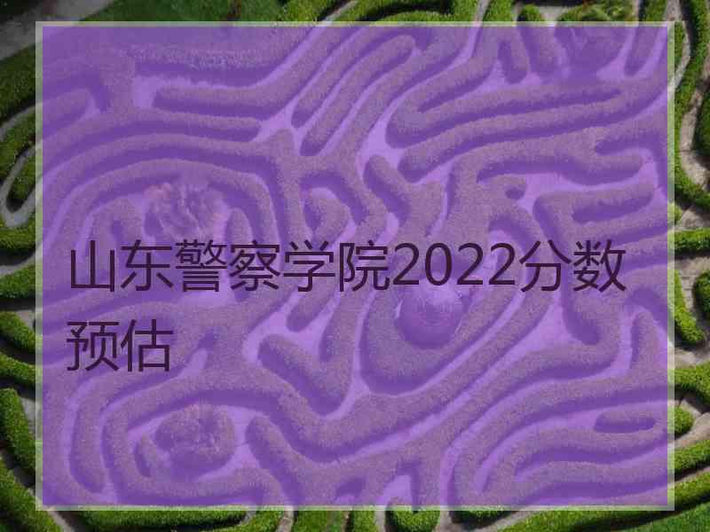 山东警察学院2022分数预估