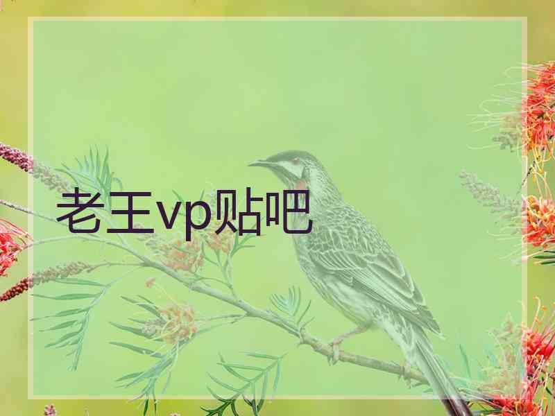 老王vp贴吧