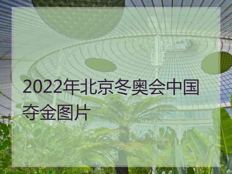 2022年北京冬奥会中国夺金图片