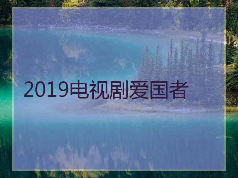 2019电视剧爱国者