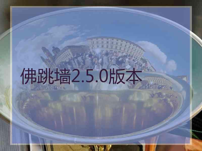 佛跳墙2.5.0版本