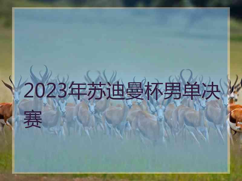2023年苏迪曼杯男单决赛