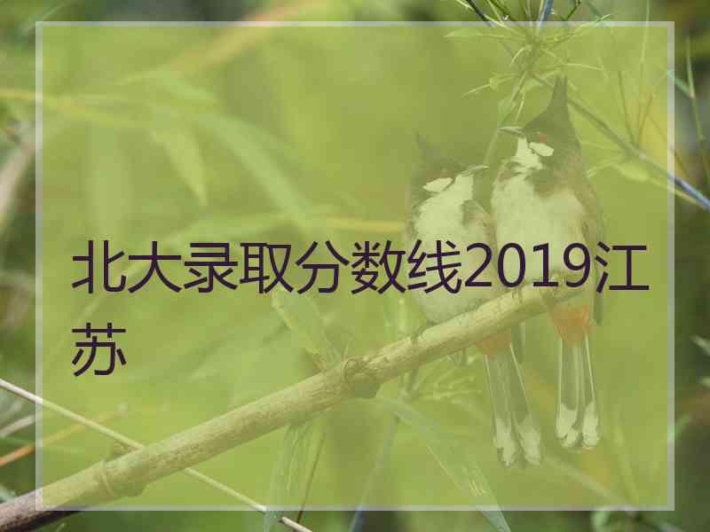 北大录取分数线2019江苏