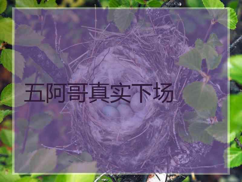 五阿哥真实下场