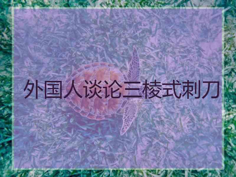 外国人谈论三棱式刺刀