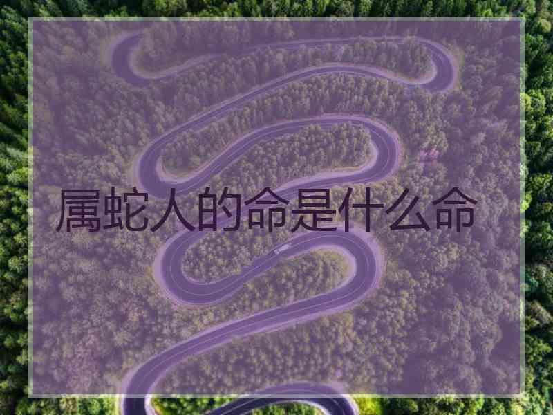 属蛇人的命是什么命