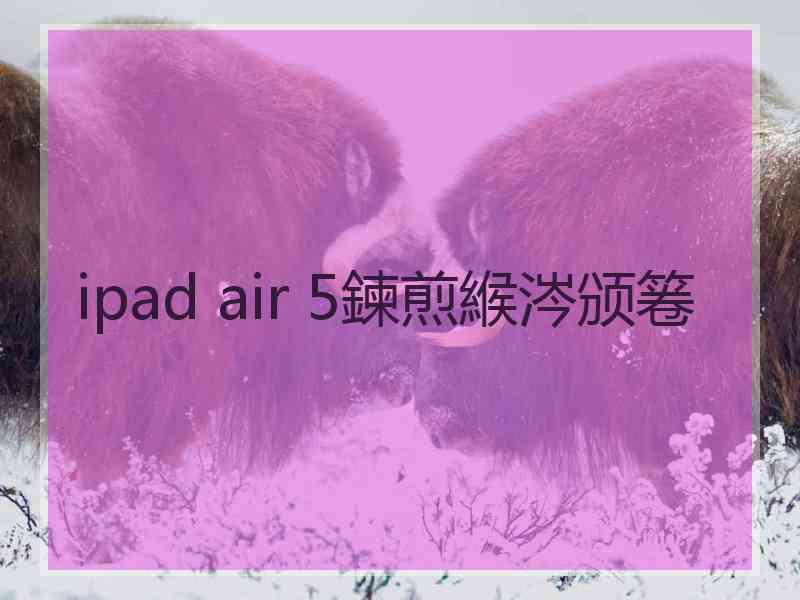 ipad air 5鍊煎緱涔颁箞