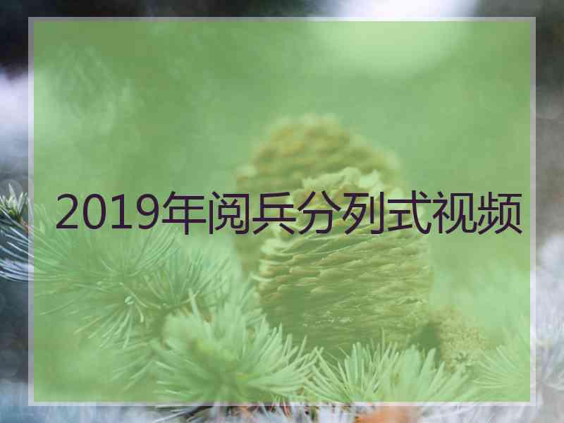 2019年阅兵分列式视频
