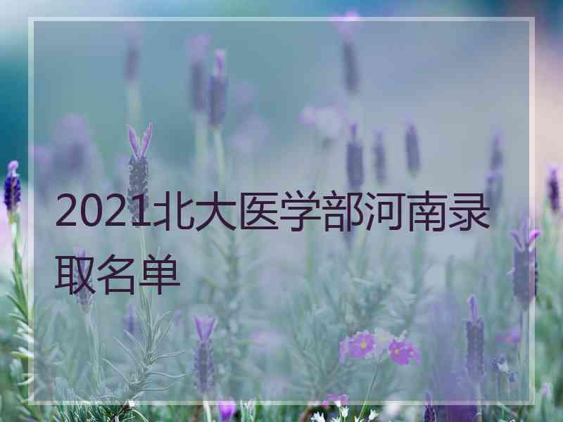 2021北大医学部河南录取名单