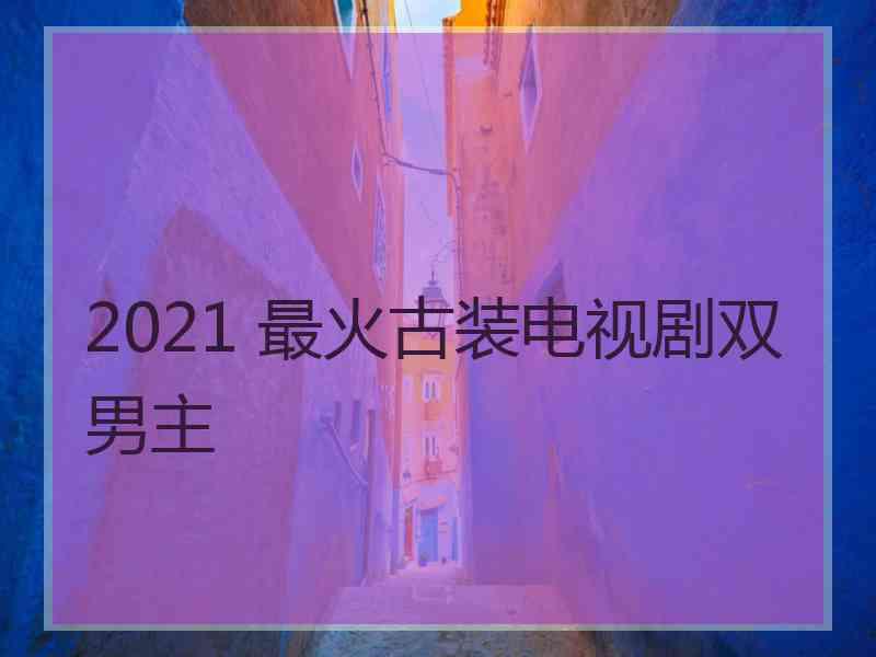 2021 最火古装电视剧双男主