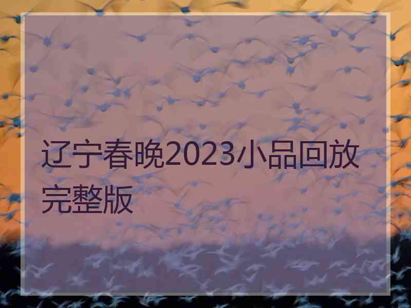 辽宁春晚2023小品回放完整版