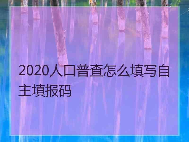 2020人口普查怎么填写自主填报码