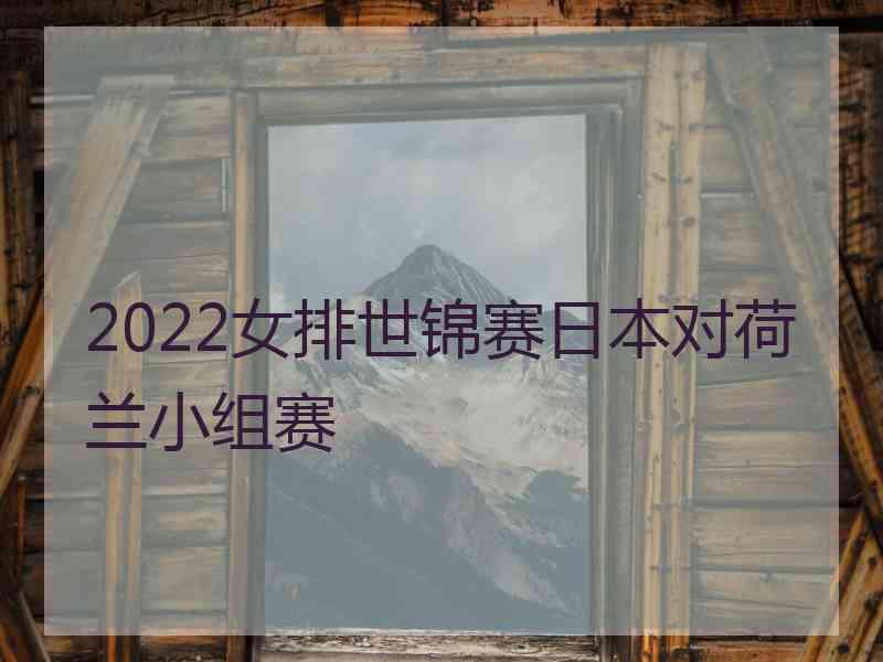 2022女排世锦赛日本对荷兰小组赛