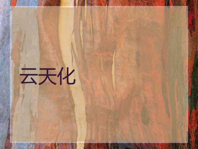 云天化