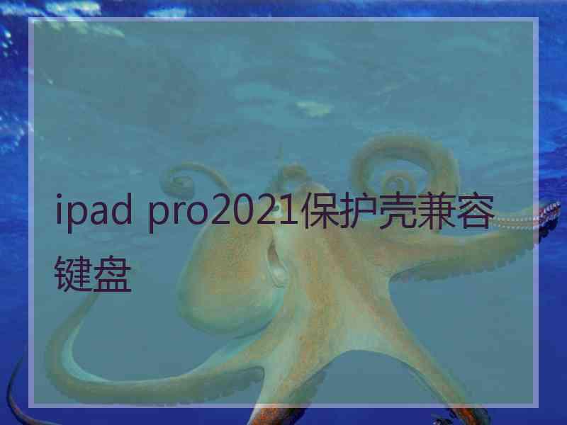 ipad pro2021保护壳兼容键盘