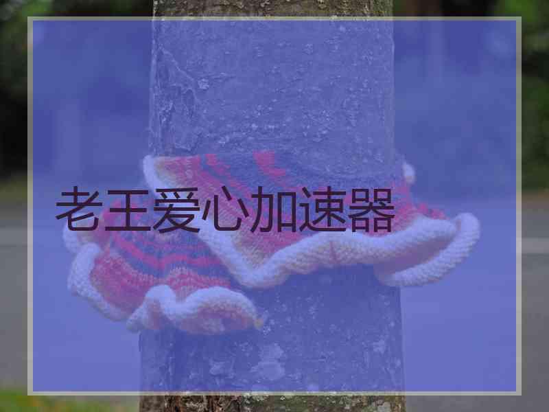 老王爱心加速器