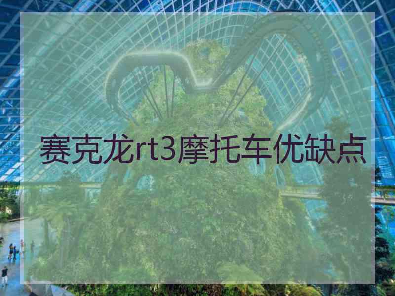 赛克龙rt3摩托车优缺点