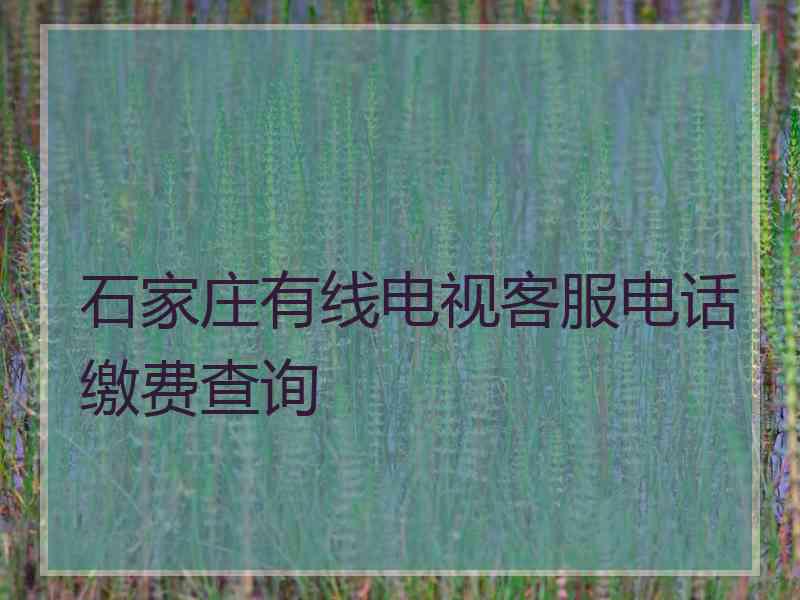 石家庄有线电视客服电话缴费查询