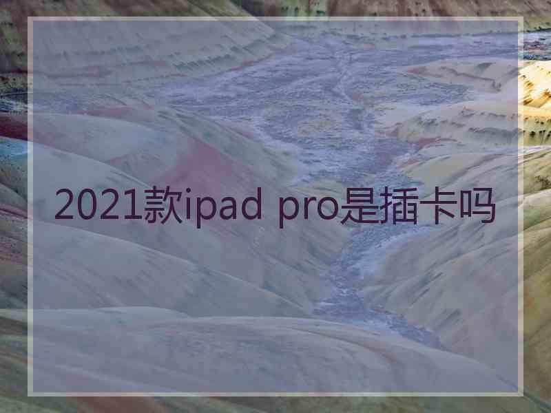 2021款ipad pro是插卡吗
