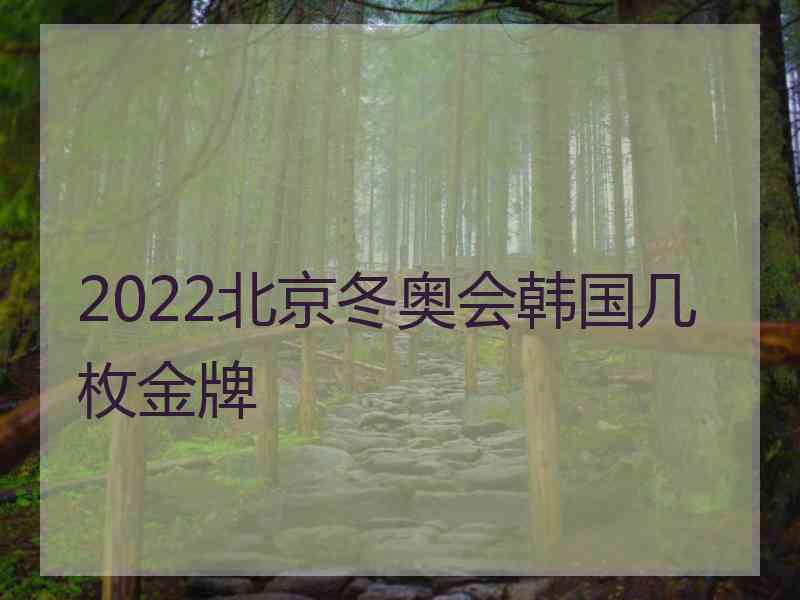 2022北京冬奥会韩国几枚金牌