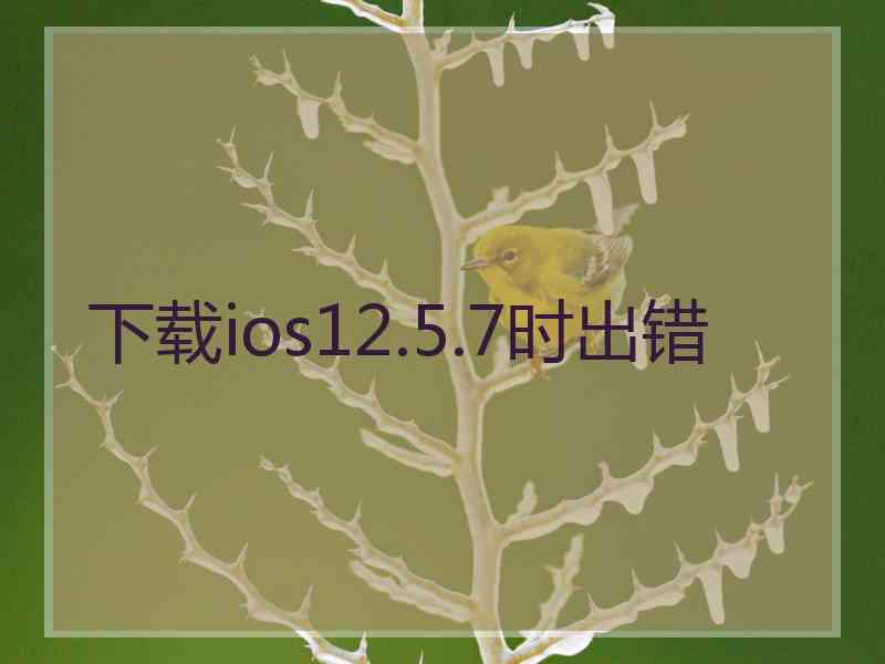下载ios12.5.7时出错