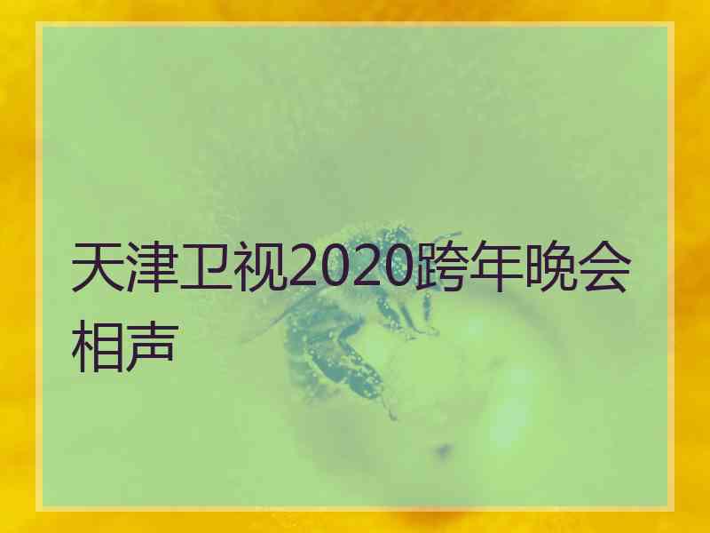 天津卫视2020跨年晚会相声