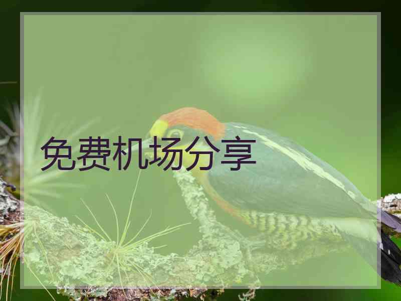 免费机场分享