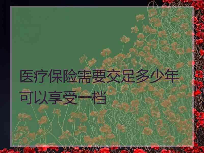 医疗保险需要交足多少年可以享受一档