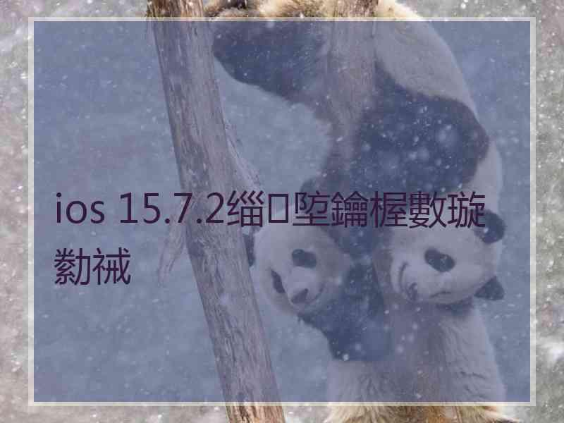 ios 15.7.2缁埅鑰楃數璇勬祴
