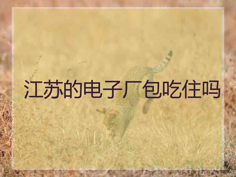 江苏的电子厂包吃住吗