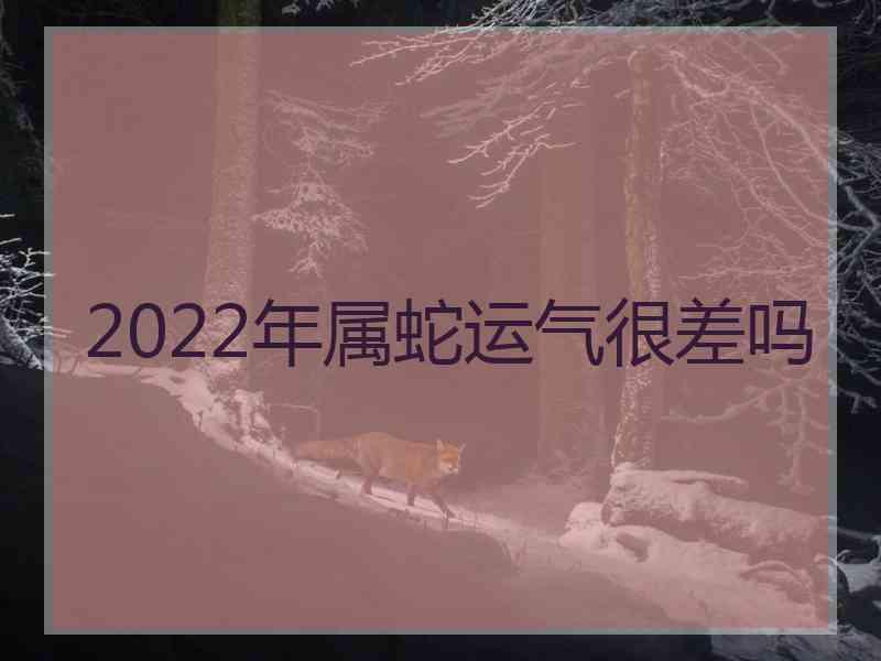 2022年属蛇运气很差吗
