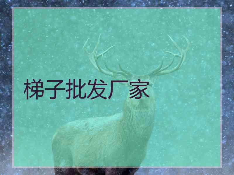 梯子批发厂家