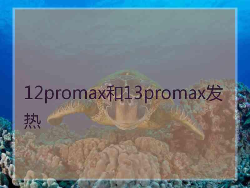 12promax和13promax发热