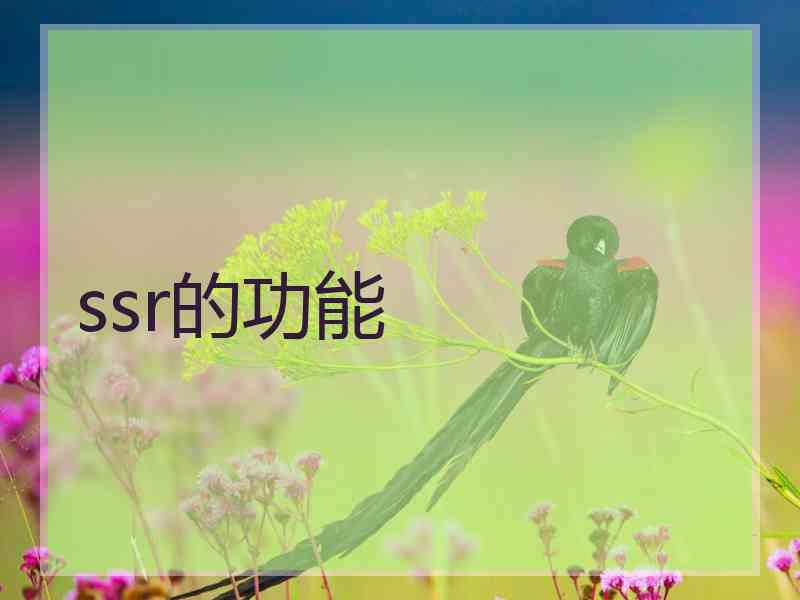 ssr的功能