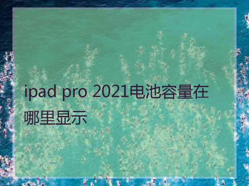 ipad pro 2021电池容量在哪里显示