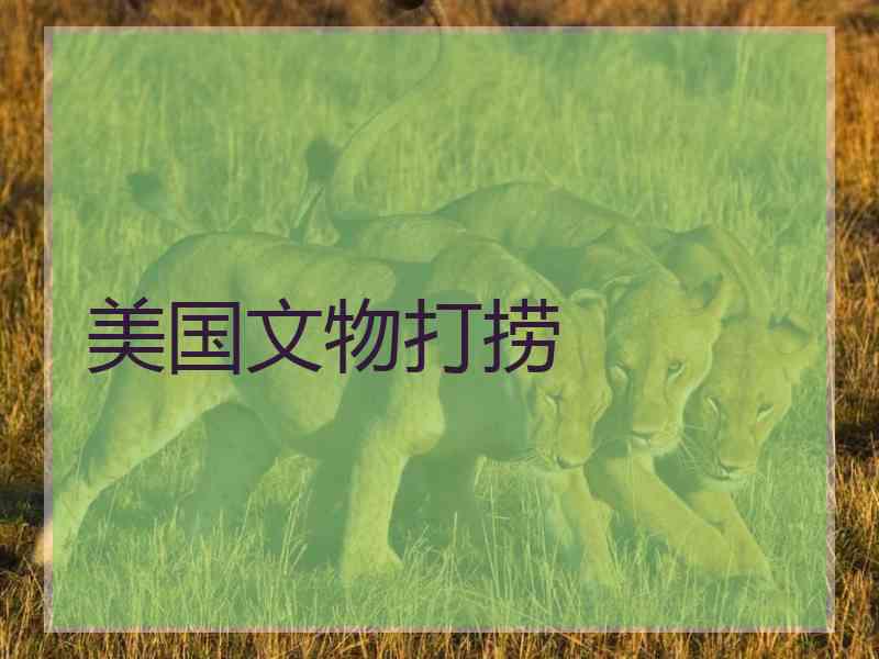 美国文物打捞