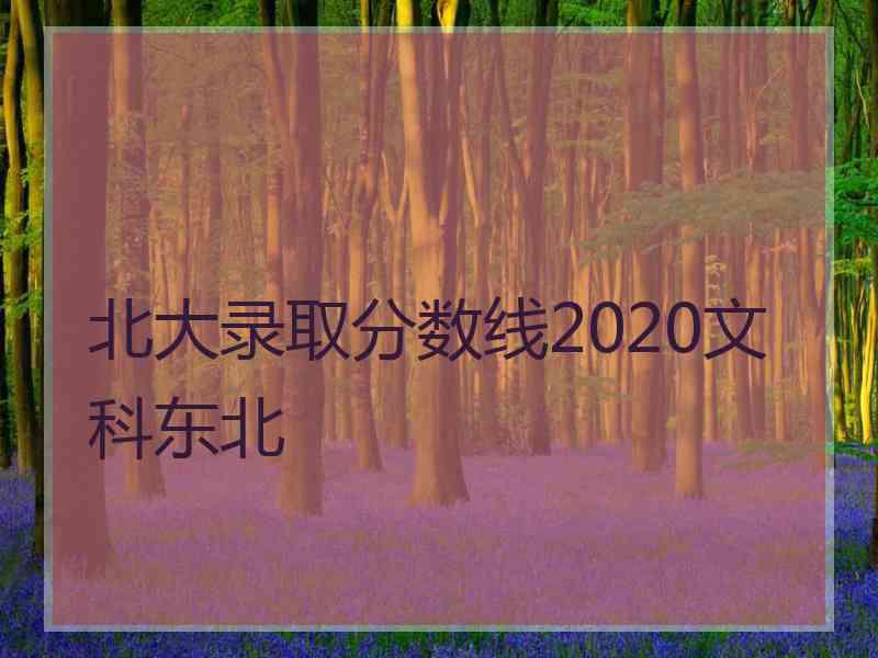 北大录取分数线2020文科东北
