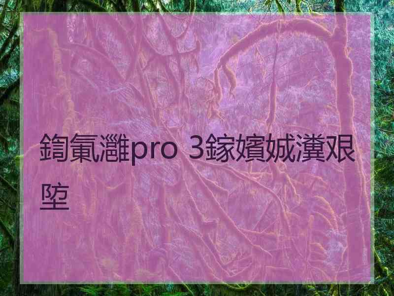 鍧氭灉pro 3鎵嬪娍瀵艰埅