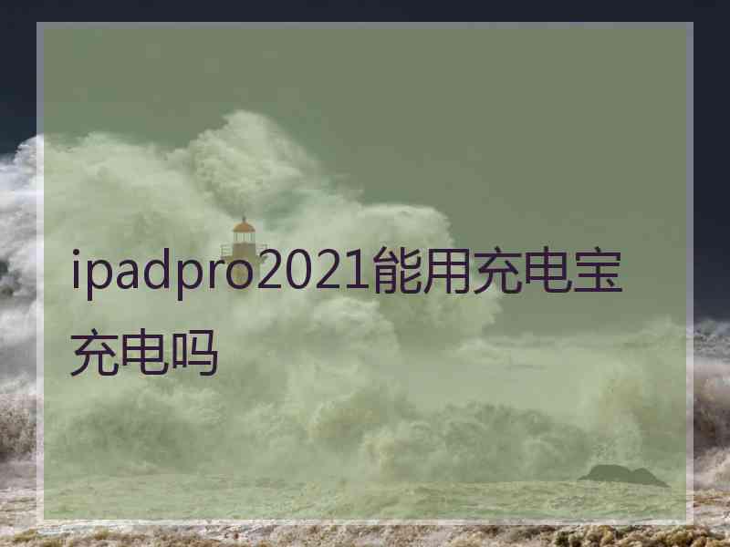 ipadpro2021能用充电宝充电吗