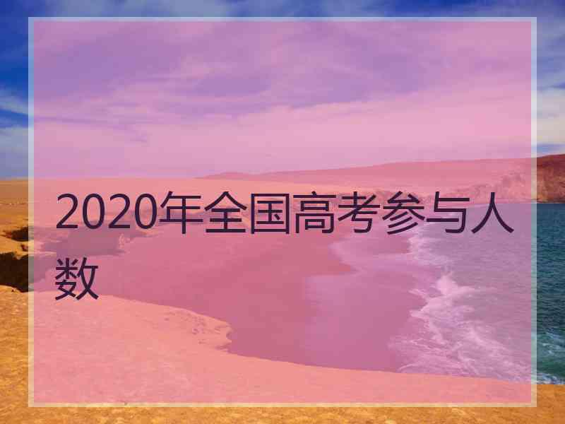2020年全国高考参与人数