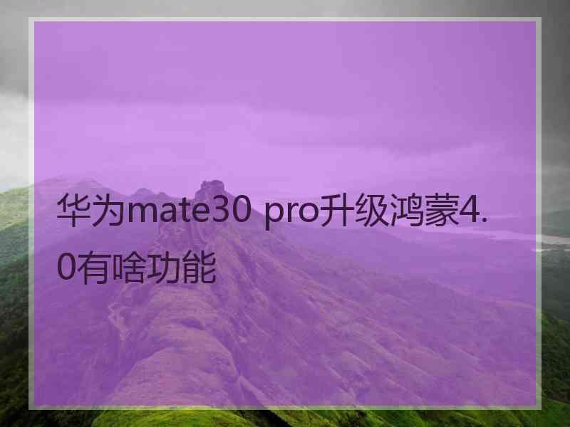 华为mate30 pro升级鸿蒙4.0有啥功能