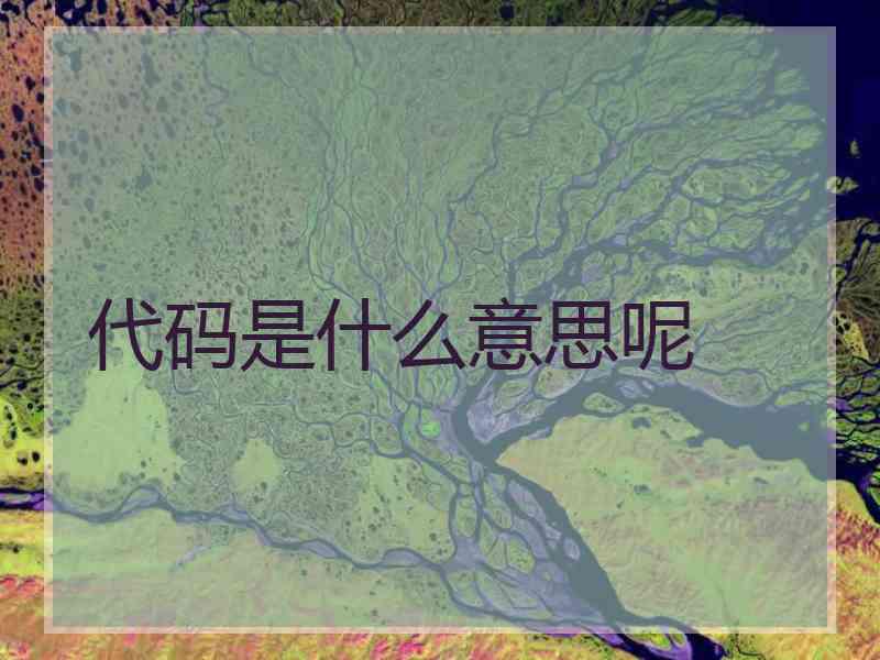 代码是什么意思呢