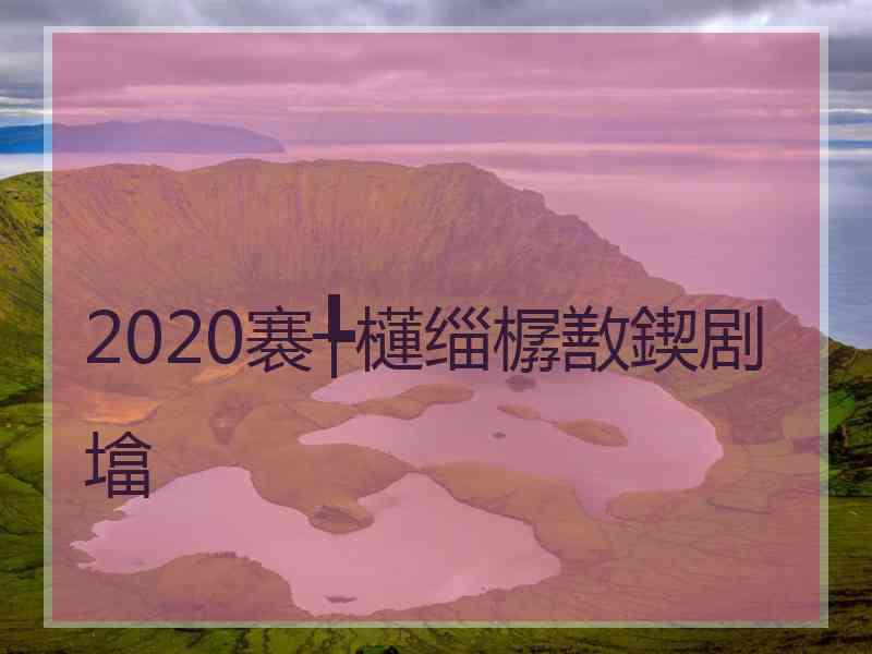 2020褰╄櫣缁樼敾鍥剧墖
