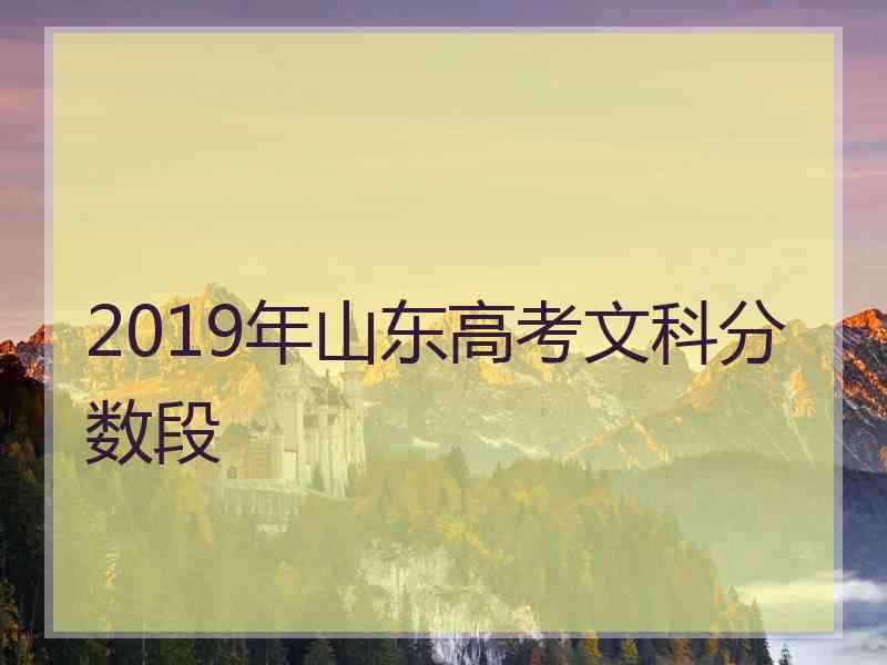 2019年山东高考文科分数段